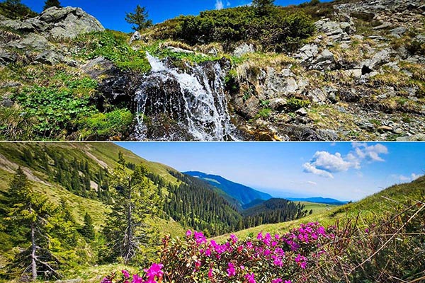 2hm3n6s3aqa5ky1h2azaw0lmj5fie5