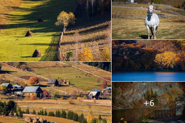 Autumn impressions in Cluj-Napoca