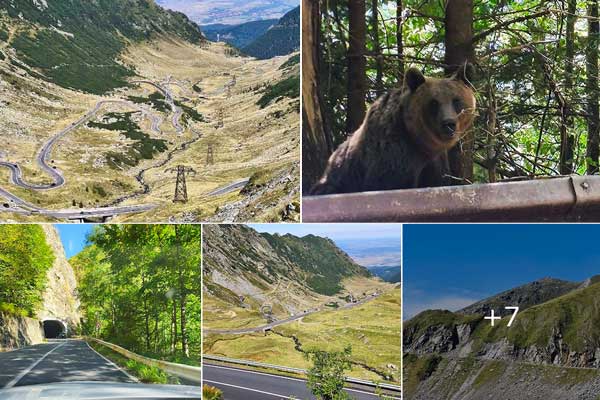 Transfagarasan und seine "Bewohner" im Herbst