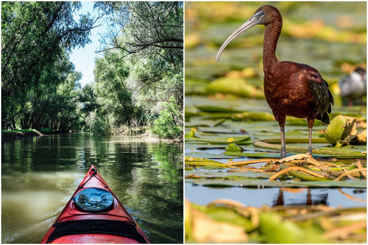 Donaudelta | Kajaktouren | Sulina & Mee(h)r