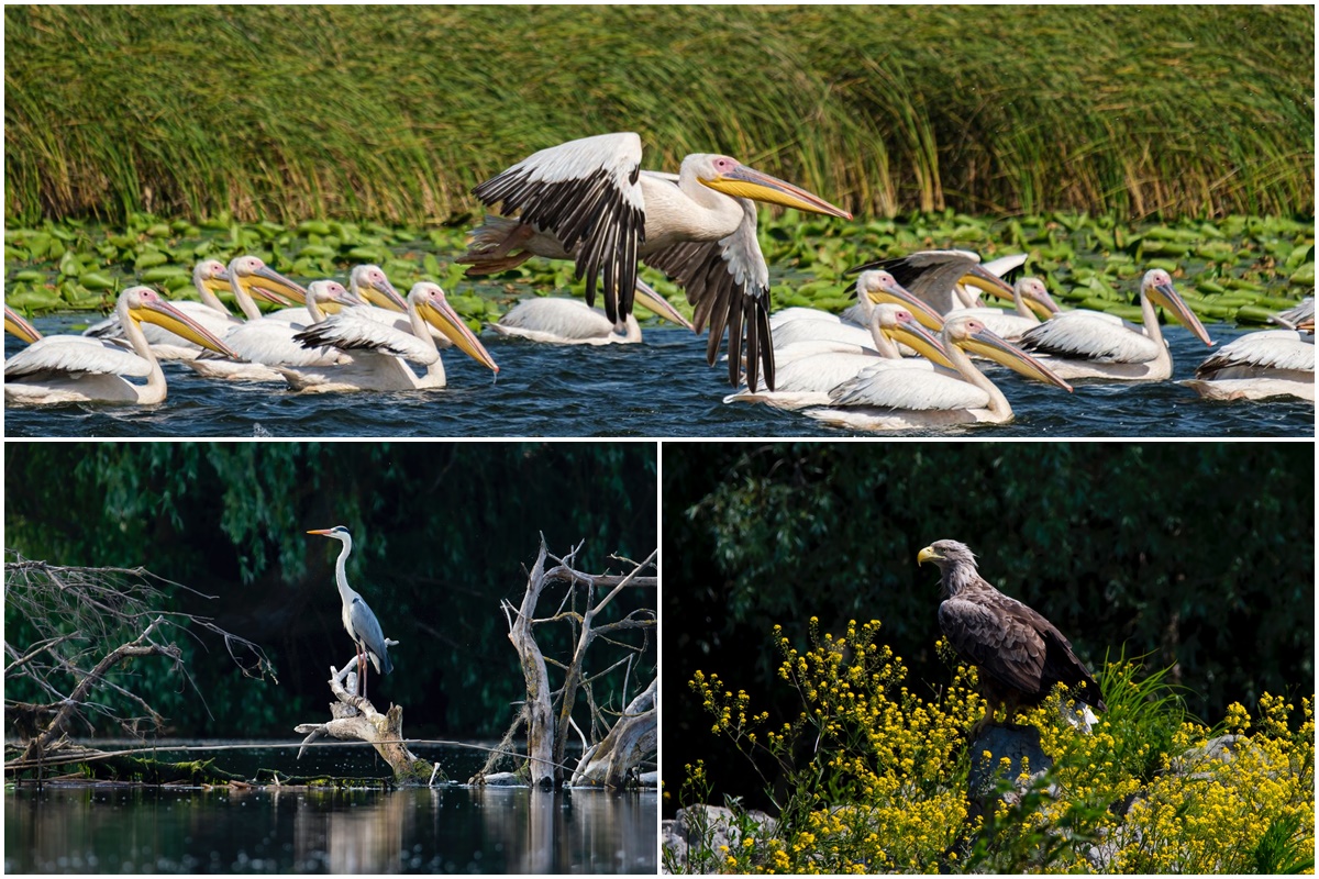 Wunderbares Rumänien | Donaudelta | Sulina