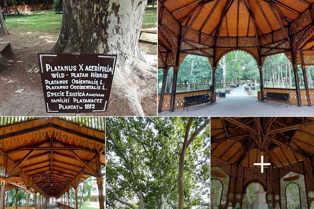 Tree & magnificent garden in Buzias | Timis County