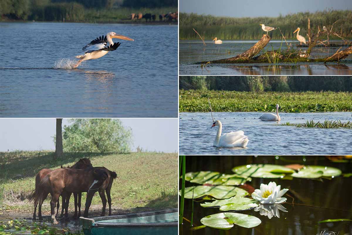 Das Donaudelta im Südosten von Rumänien