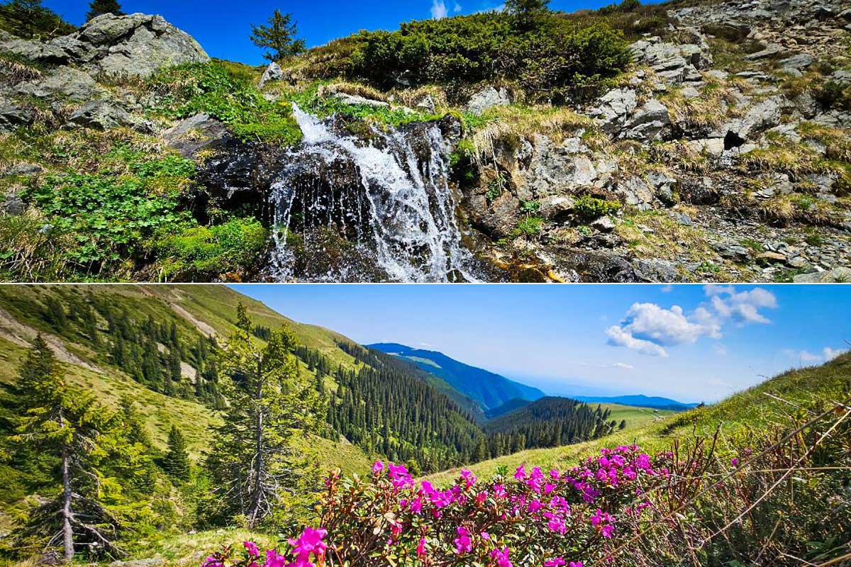 Capatanii Gebirge | Landkreis Alba und Valcea