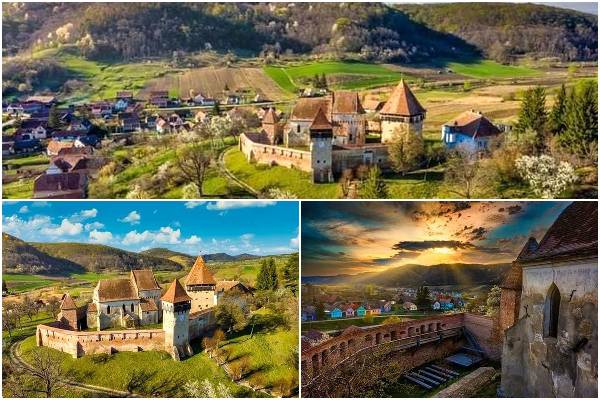 48pxfj7wc9xy8gtvlasl1f2s8bferj