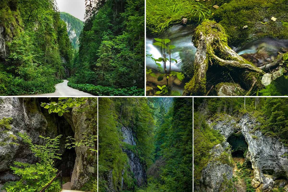 The gorges of Ordancusei | Alba County