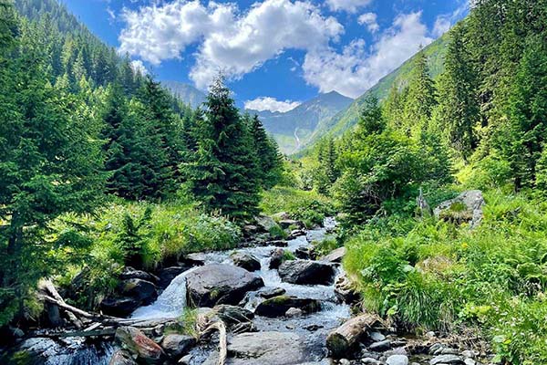 52db46g6xlepv61s1bfex3py5501mw