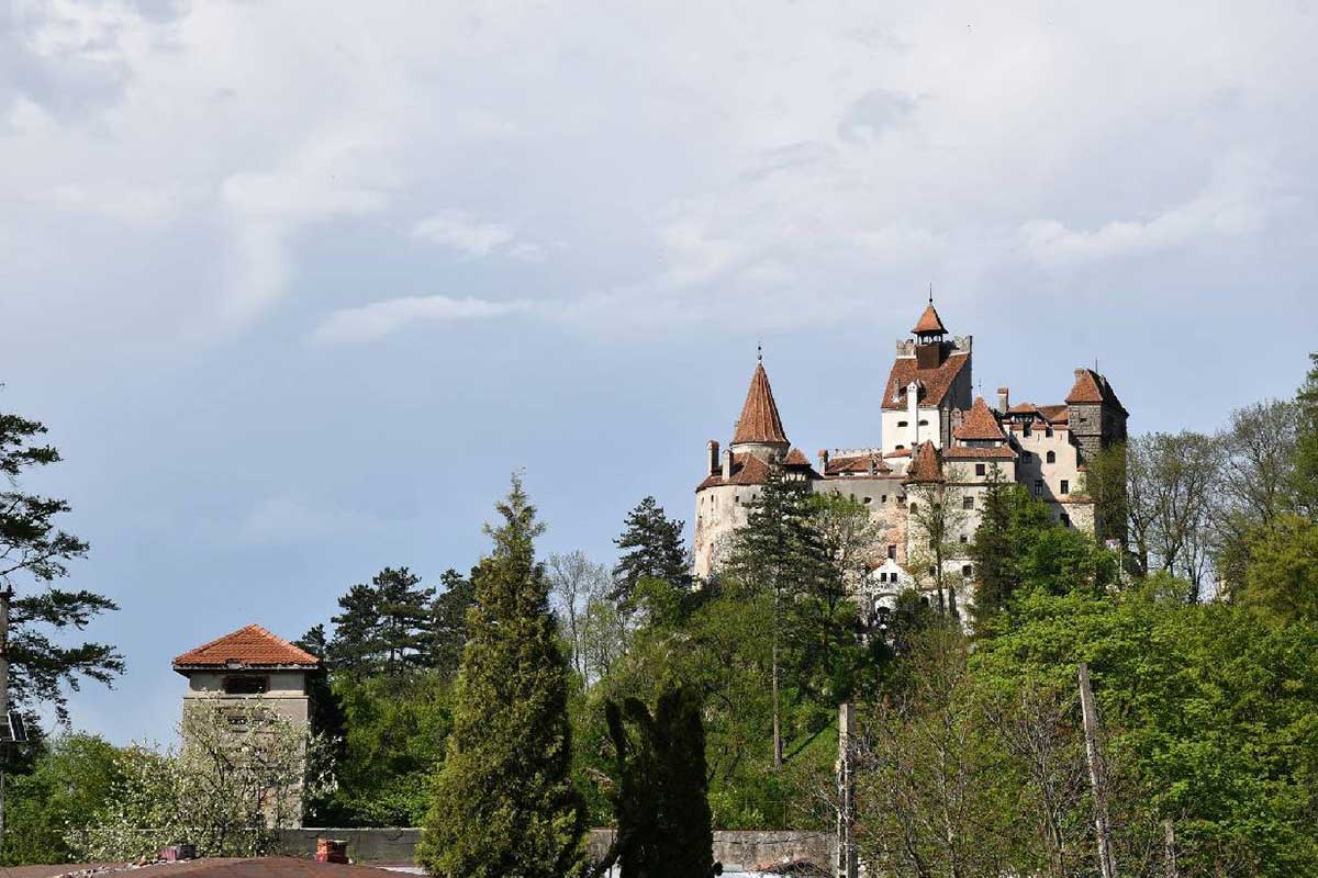 53zx9tg86v42hz1awkfydc9td53rne