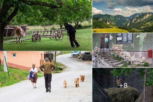 Viața rurală în munții Apuseni