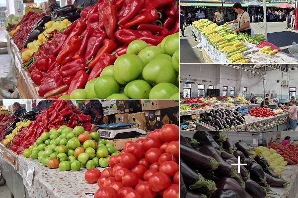 59n61emod31sppkhy1jvuxdrjmofvd