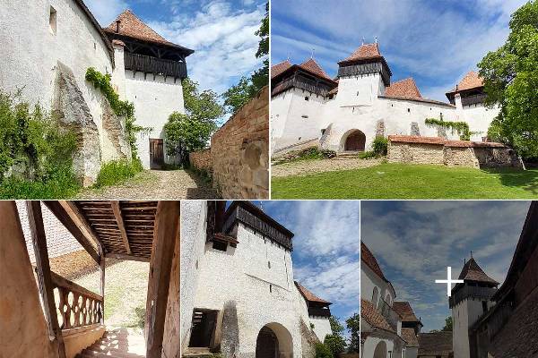 5m46904fxeu40dkr4g8whkmh5tvidi