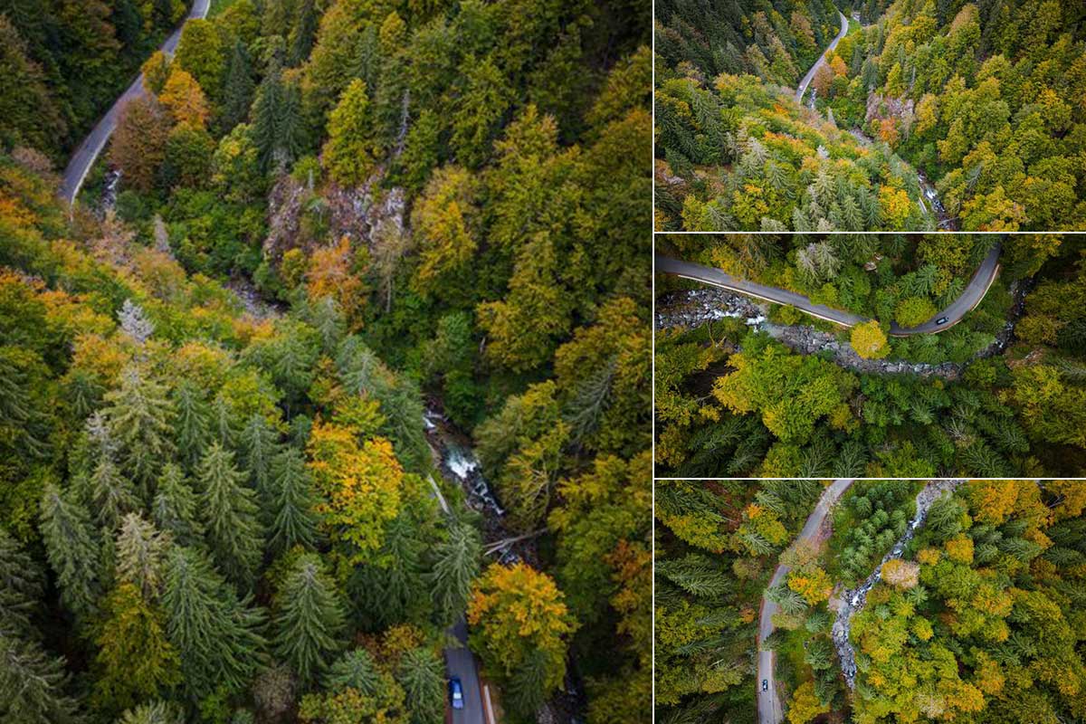 Nature prepares for autumn colours