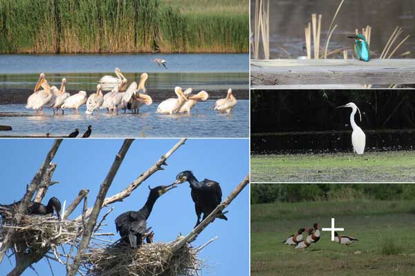 5ry695km0ihbrelno531h8il2vr5a3