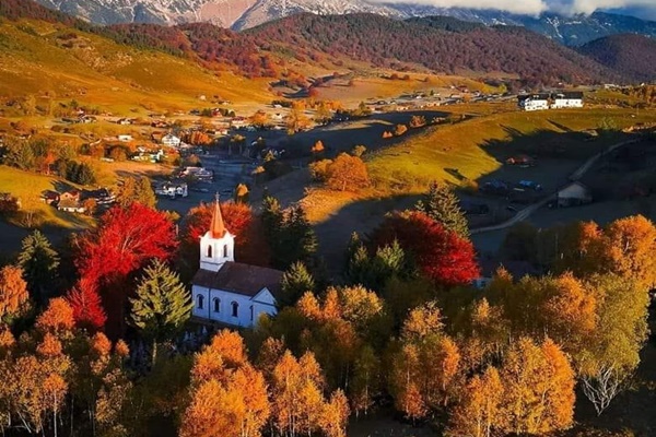 Sirnea | Județul Brașov