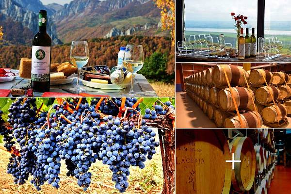 61o1igyddxo36tqrcn3vkvvz9ydmz7