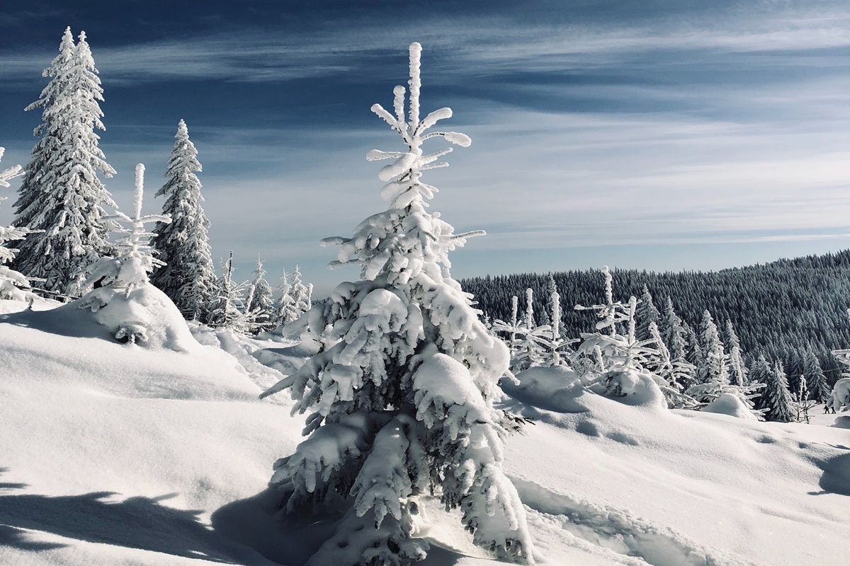 Schnee am Buscat | Landkreis Cluj