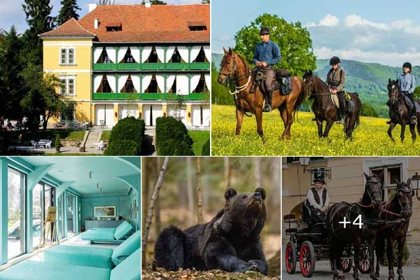 ZABOLA ESTATE TRANSYLVANIA | Covasna County