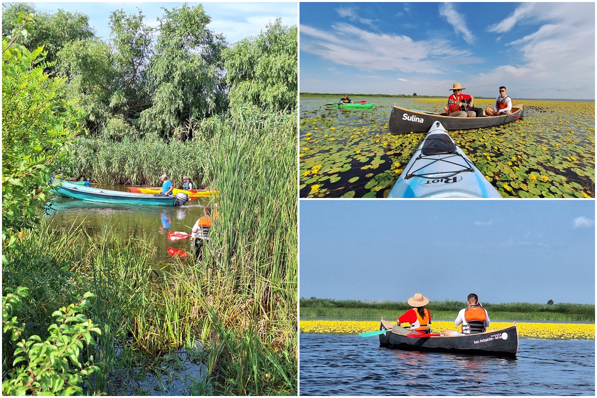 Kajak Touren im Donaudelta | Sulina