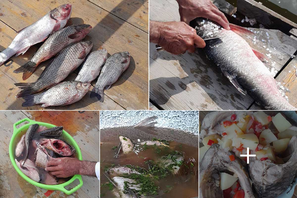 Sulina | ... und am Samstag gab es Fisch