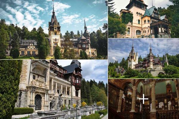 82nojwcqa5eob3pee103weayh4y5ia