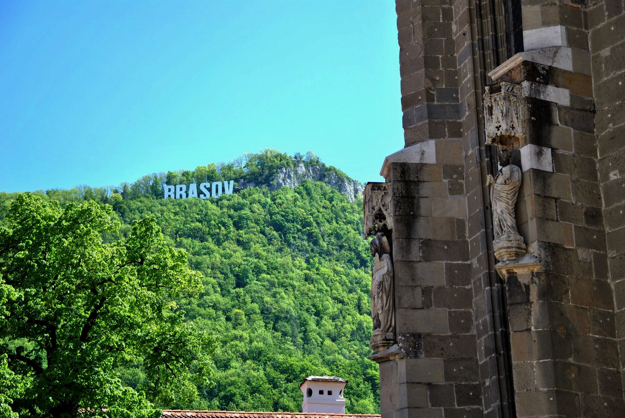 Die Schwarze Kirche | Black Church