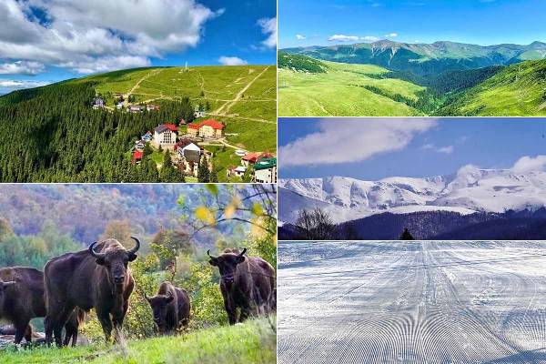 8q9jur9lp3l0kr0xtfild642jgd2ib