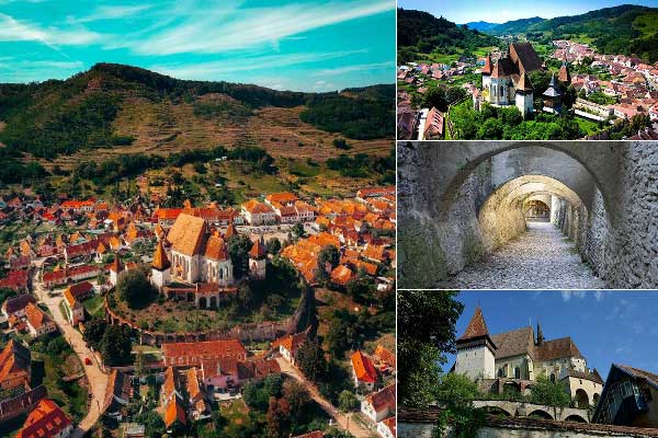 8x6mw298os5n1mi0txbpuj7i4p35jo