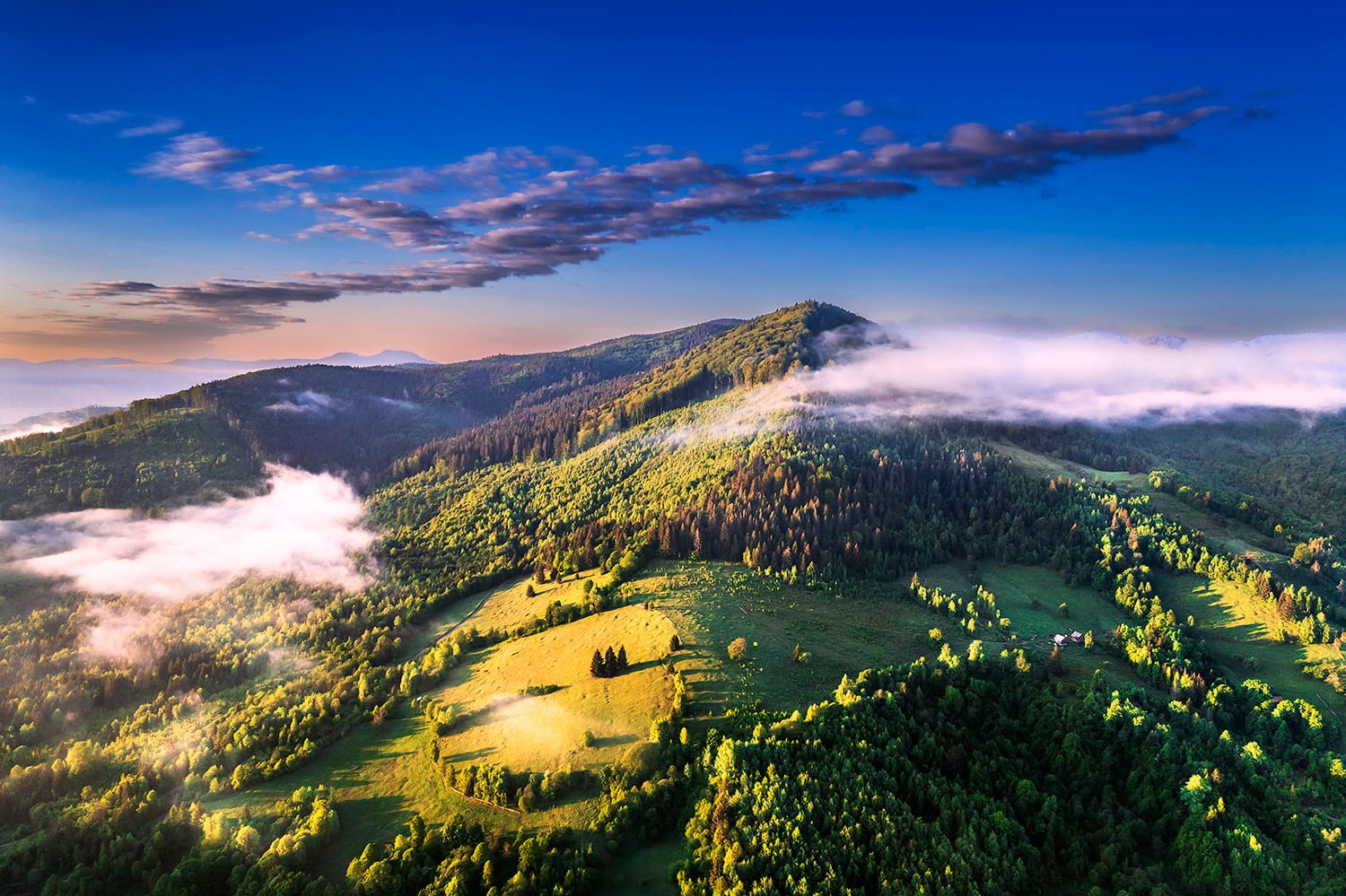 Bucovina frumoasă