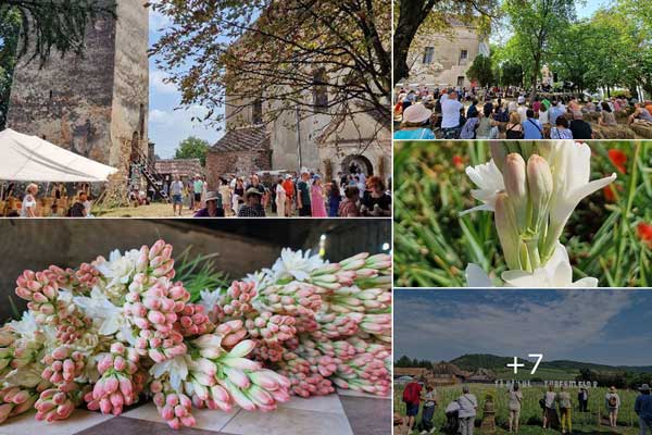 Festivalul Tuberozelor din Hoghilag | Weekendul trecut