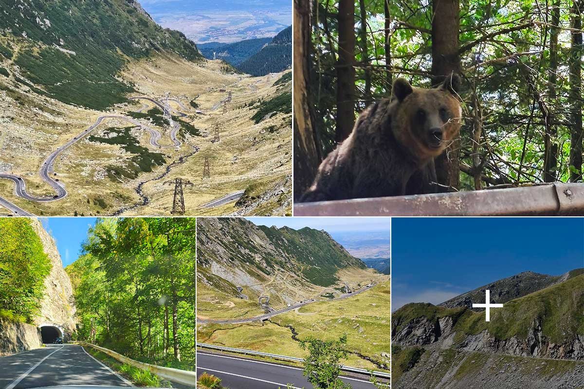 Transfăgărășanul și „locuitorii” săi toamna