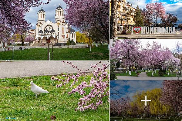 8yv68gamcjl51p3kmwblyszp9yrplq