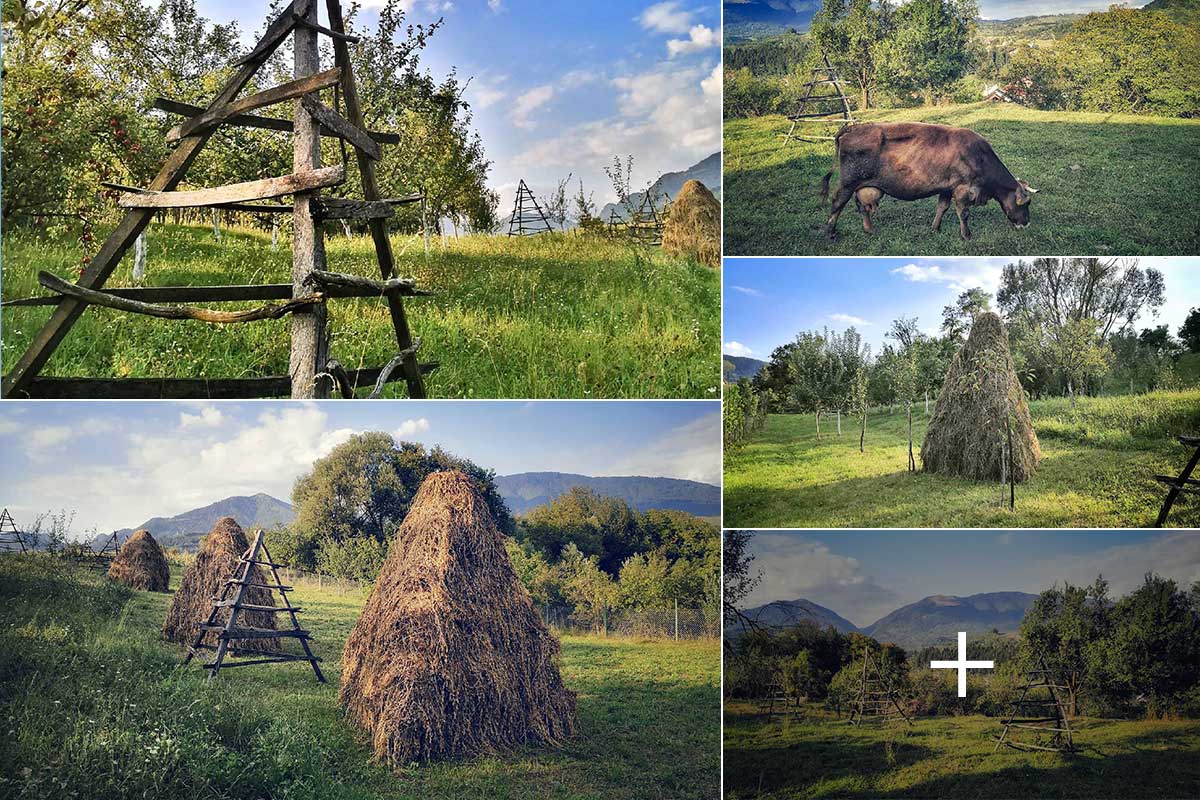 Herbststimmung in Corbeni | Landkreis Arges