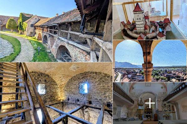 abguoupabhiff4h6gxp5oyhavuoaw0