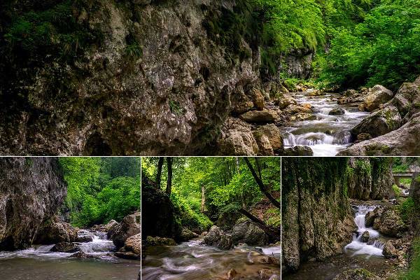 Cheile Bistriţei | Parcul Naţional Buila-Vânturariţa