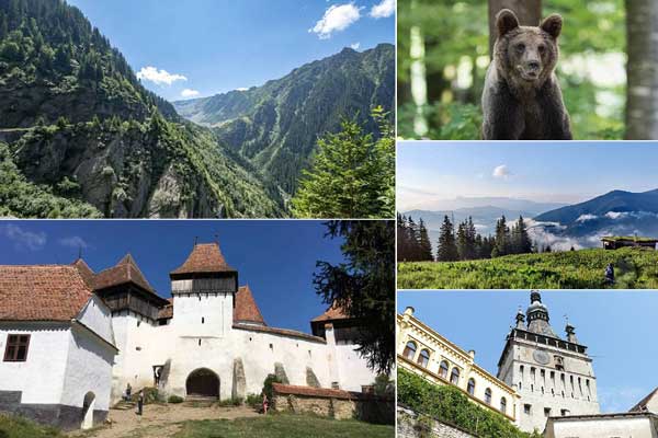 Călătorie fotografică în România | Urși, Carpați și Transilvania cu Jürgen Haberhauer
