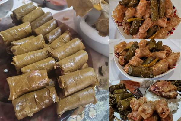 ai1ar7rncbogqykk0x02auzsvqub8b