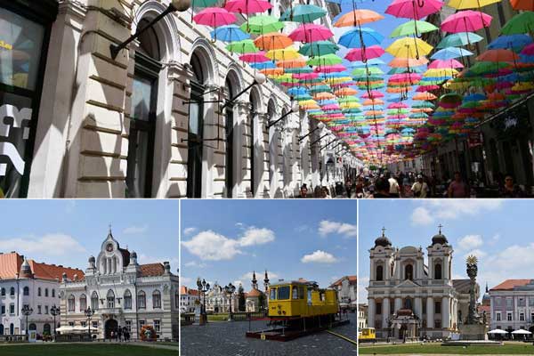 amysuiacepp996fa7q5jqsey02gfvd