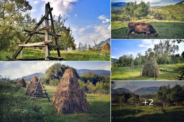 Autumn atmosphere in Corbeni | Arges county