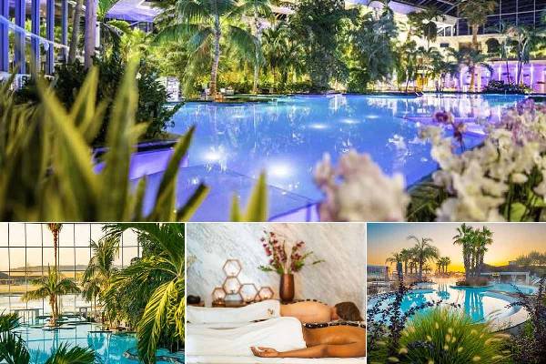 b2qiokoet4fs2sxpv5hi5ddu19s7ui