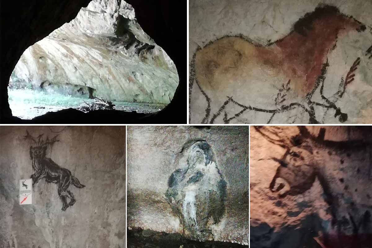 Pestera (Höhle) Bolii | Landkreis Hunedoara