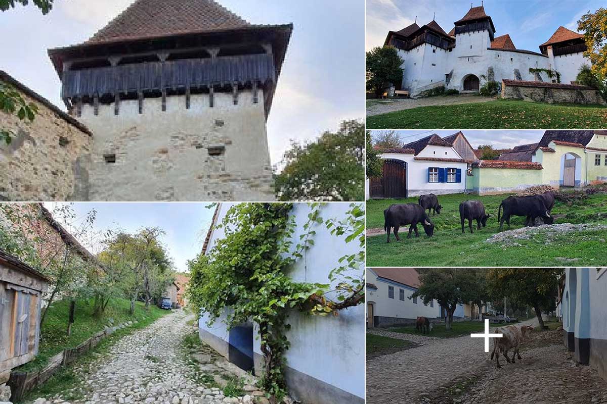 Viscri | German Weisskirch (partea 2 din 2) | Județul Brașov