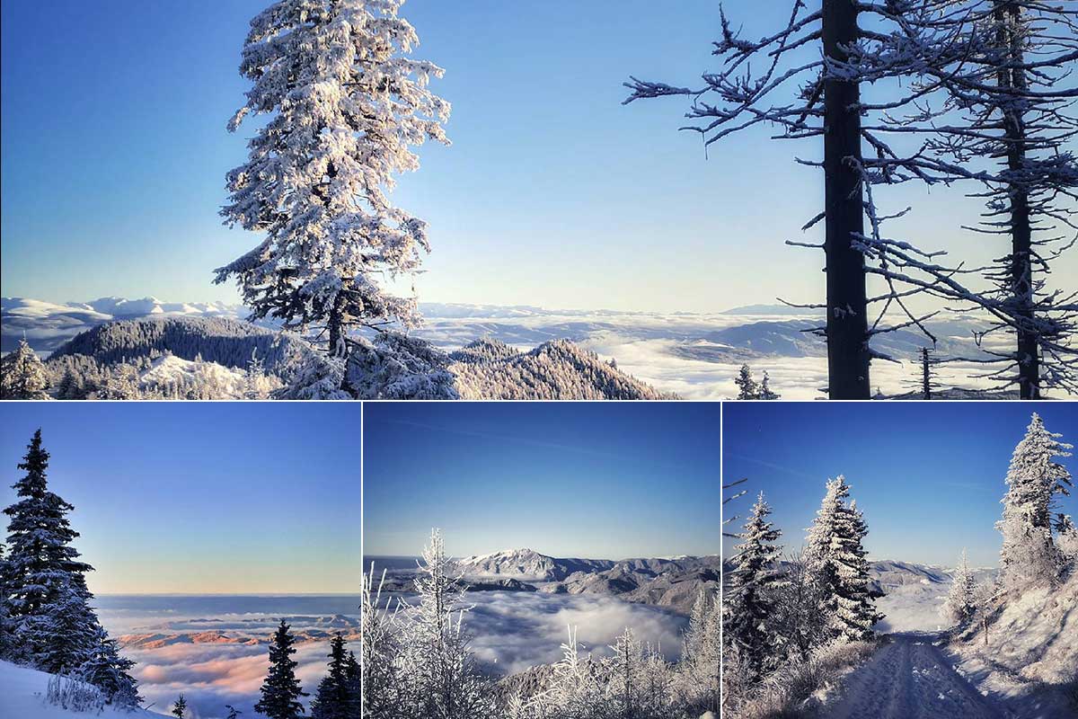 Începutul iernii în Parcul Național Cozia ☃