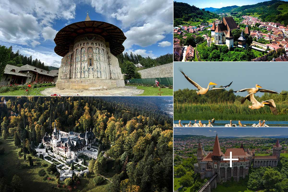 dnfum23k8i2d4ubepc7famy62m6z01