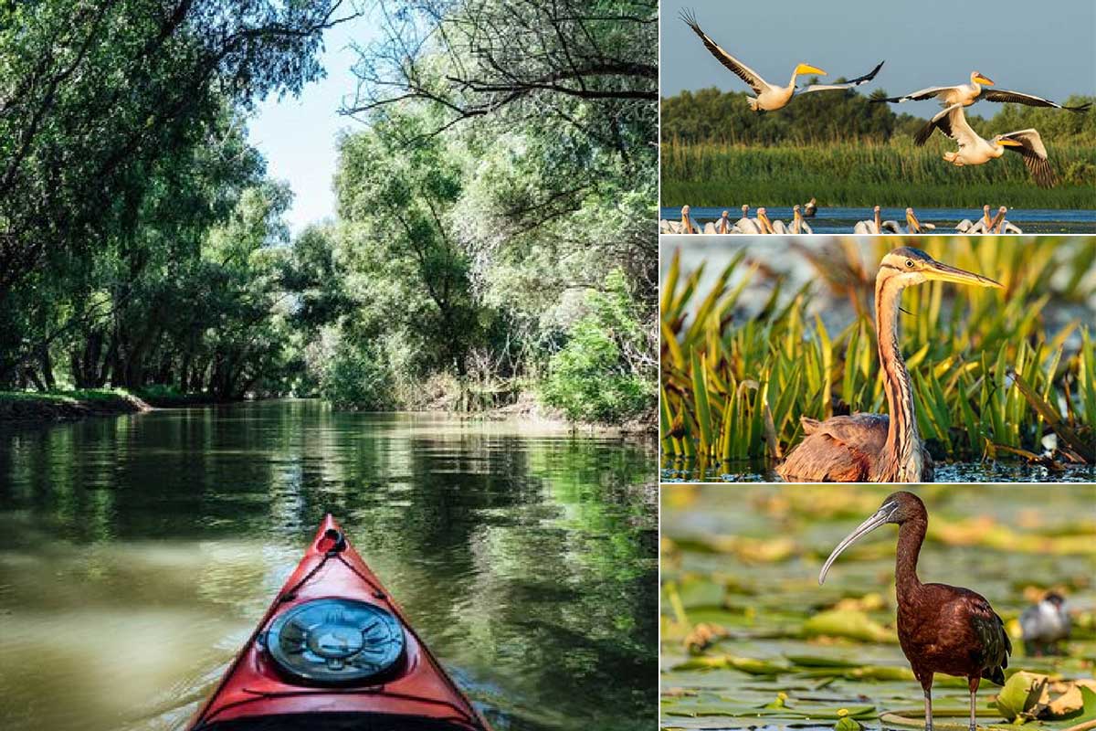 Donaudelta | Wunderschön