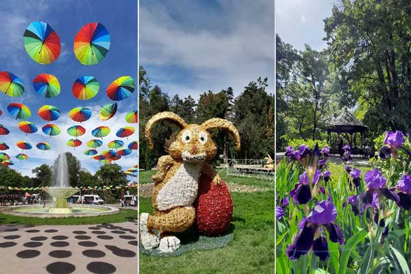 eka72xs02w4xbjapmsdg88fxleng6e