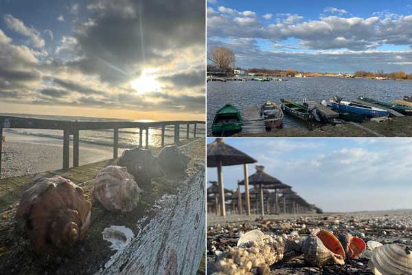 ep7sw3bwepttp1ow6ug1x53lt05x6i