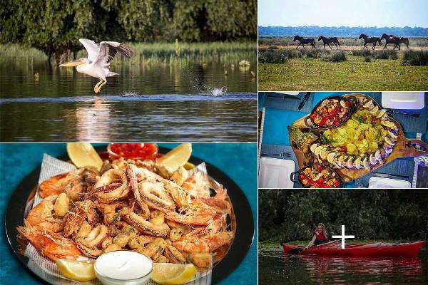 f1x7v1z1c92va3tqlv5qjpshuushir