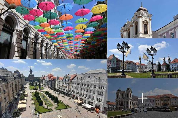 f6cfywwr33i17ixtu4empj5yw19sun