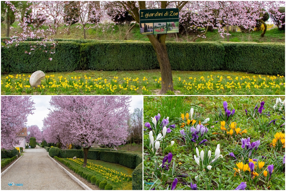 I Giardini di Zoe, Landkreis Hunedoara