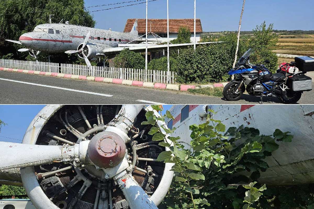 Airplanes in the stomach... or better yet, in your own garden